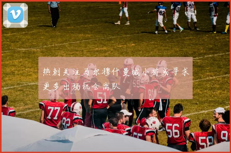 热刺关注马尔穆什曼城小将或寻求更多出场机会离队