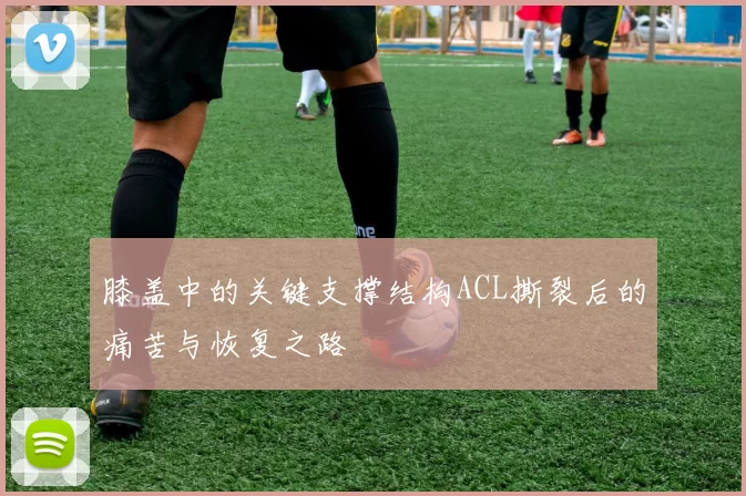 膝盖中的关键支撑结构ACL撕裂后的痛苦与恢复之路